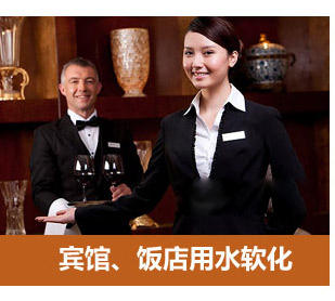 0.5噸(500L)每小時出力全自動軟水器